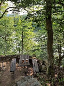 una mesa de picnic en medio de un bosque con un árbol en Holiday home in Hluboka nad Vltavou 35283, en Hluboká nad Vltavou