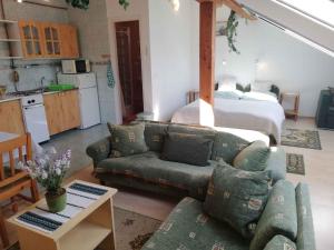 Η κουζίνα ή μικρή κουζίνα στο Apartment Zalakaros 8