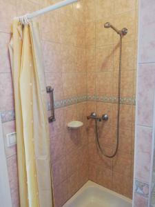 łazienka z prysznicem z zasłoną prysznicową w obiekcie Apartment Zalakaros 8 w Zalakaros