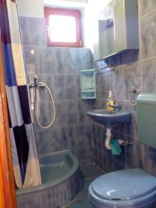 Kúpeľňa v ubytovaní Holiday home in Cesarica 17117