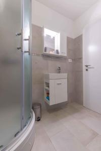 a bathroom with a shower and a sink and a toilet at Holiday home in Krsan 34373 in Kršan