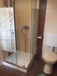 eine Duschkabine im Bad mit WC in der Unterkunft Apartment in Banjole/Istrien 34141 in Banjole