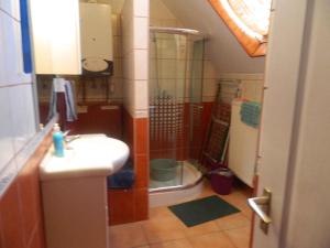 Apartments in Cserkeszolo/Ostungarn 34460 5465 Cserkeszőlő kép - 2