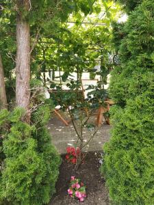Zahrada ubytování Holiday home in Turke - Gorski Kotar 34884