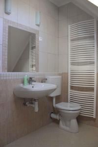 ein Badezimmer mit einem WC, einem Waschbecken und einem Spiegel in der Unterkunft Holiday home Nagyvazsony/Balaton 20231 in Nagyvázsony