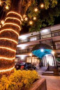 a large tree with lights on it in front of a building at Del Marques Hotel and Suites in Guadalajara