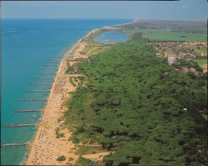 eine Luftblick auf einen Strand mit Bäumen und das Meer in der Unterkunft Apartment in Eraclea Mare 25149 in Eraclea Mare