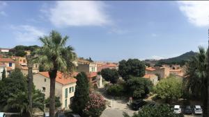 Blick auf eine Stadt mit Palmen und Gebäuden in der Unterkunft Appartement à 300m du centre et des plages in Collioure