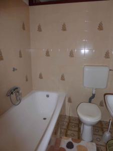 Fotografie z fotogalerie ubytování Apartment in Rab/Insel Rab 16489 v destinaci Palit