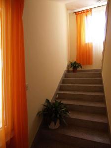 Fotografie z fotogalerie ubytování Apartment in Rab/Insel Rab 16489 v destinaci Palit