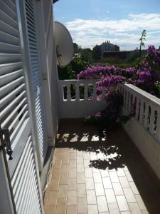 Fotografie z fotogalerie ubytování Apartment in Rab/Insel Rab 16489 v destinaci Palit
