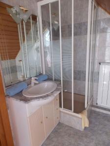 ザラカロシュにあるApartments in Zalakaros/Thermalbad 20687のバスルーム(シンク、シャワー付)
