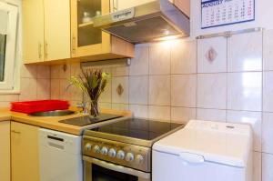 Kuchyňa alebo kuchynka v ubytovaní Apartment in Prizba/Insel Korcula 6425