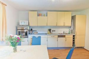 Kuchyňa alebo kuchynka v ubytovaní Apartment in Schlitters with One-Bedroom 1