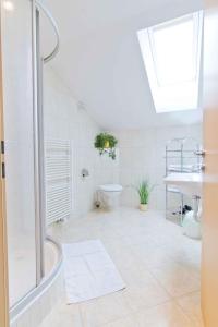 a bathroom with a shower and a toilet and a sink at Apartment in Schlitters with Two-Bedrooms 1 in Schlitters