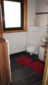 a bathroom with a toilet and a sink at Holiday home in Friedland 2712 in Kummerow
