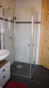 eine Dusche mit Glastür im Bad in der Unterkunft Holiday home in Friedland 2712 in Kummerow