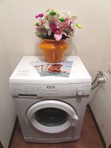 un vaso di fiori posto sopra una lavatrice di Apartments in Bibione 24419 a Bibione