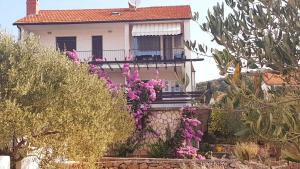Zahrada ubytování Apartment in Stari Grad - Insel Hvar 6321
