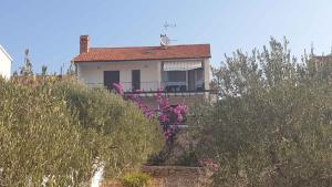 Zahrada ubytování Apartment in Stari Grad - Insel Hvar 6321