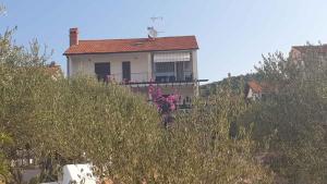 Zahrada ubytování Apartment in Stari Grad - Insel Hvar 6321