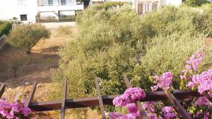 Zahrada ubytování Apartment in Stari Grad - Insel Hvar 6321