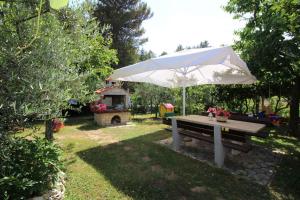 Zahrada ubytování Apartment in Porec - Istrien 10194