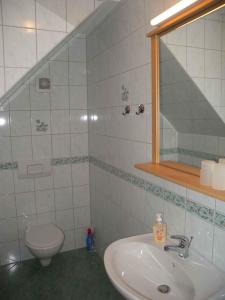 a bathroom with a sink and a toilet at Apartment in Morgenitz/Insel Usedom 3207 in Dewichow