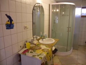 y baño con lavabo y ducha. en Apartment Balatonbereny 1 en Balatonberény