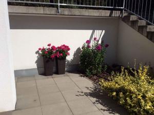 Vonkajšia záhrada v ubytovaní Apartment in Fulpmes/Tirol 711
