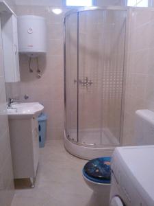 uma casa de banho com um chuveiro e um WC. em Apartment in Bribir 15269 em Kričina