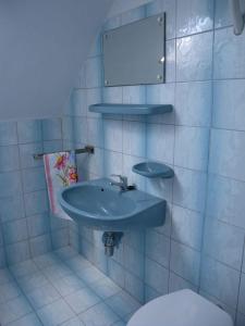 フォニョードにあるApartment in Fonyod/Balaton 33083のバスルーム(青いシンク、トイレ付)