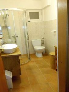 a bathroom with a toilet and a sink and a shower at Apartment Vrbnik 8 in Vrbnik
