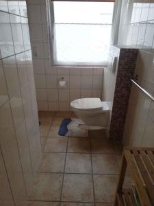 bagno con servizi igienici e finestra. di Holiday home Fuhlendorf 1 a Fuhlendorf