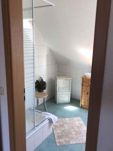 ein Bad mit einer Dusche und einem Waschbecken in der Unterkunft Apartment Gingst 1 in Haidhof