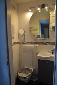 ein Badezimmer mit einem WC, einem Waschbecken und einem Spiegel in der Unterkunft Apartment Todtmoos 4 in Vordertodtmoos