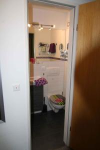 ein kleines Bad mit WC in einem Zimmer in der Unterkunft Apartment Todtmoos 3 in Vordertodtmoos