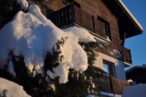 Apartment Harrachov - Riesengebirge 2400 v zime