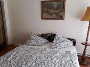 sypialnia z łóżkiem z poduszkami i zdjęciem na ścianie w obiekcie Apartment in Siofok/Balaton 19854 w Siófoku +26 zdjęć