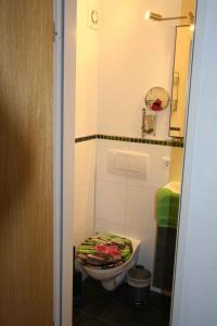 a small bathroom with a toilet with a green seat at Apartment Todtmoos 2 in Todtmoos