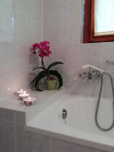 a bathroom sink with a vase with a flower on it at Apartment in Zalakaros/Thermalbad 33089 in Zalakaros
