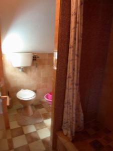 A bathroom at Holiday home in Balatonmariafürdo 19576