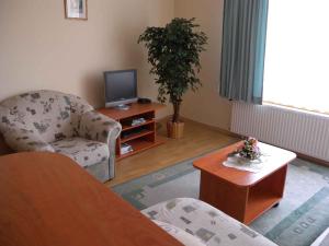 TV a/nebo společenská místnost v ubytování Apartment in Balatonlelle - Balaton 19185