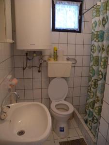 een kleine badkamer met een toilet en een wastafel bij Apartment Gyenesdias 3 in Gyenesdiás