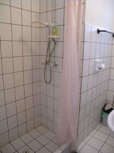 ギェネシュディアーシュにあるApartment Gyenesdias 3のバスルーム(シャワー、シャワーカーテン付)が備わります。
