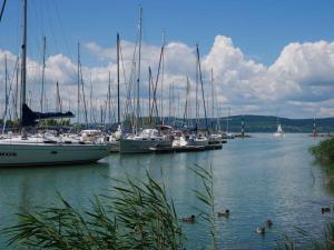 バラトンレッレにあるApartment in Balatonlelle/Balaton 19160の港にたくさんの船が停泊している