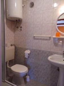 ein Bad mit einem WC und einem Waschbecken in der Unterkunft Apartment in Valbandon/Istrien 11261 in Valbandon