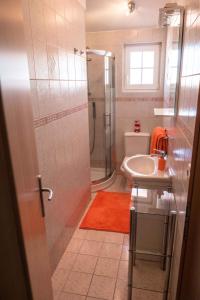 uma casa de banho com um lavatório, um chuveiro e um WC. em Apartment Banjol 23 em Rab