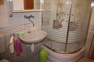 Koupelna v ubytování Apartment Povljana 3 + 16 fotografií
