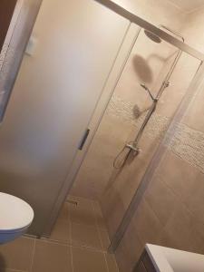 a shower with a glass door in a bathroom at Apartment Lopar 12 in Lopar